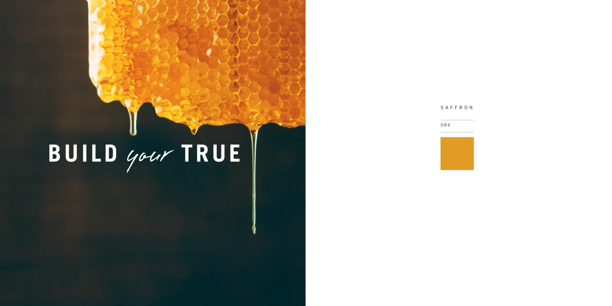 cover image for custom Color video